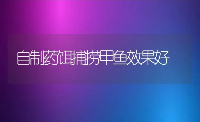 自制药饵捕捞甲鱼效果好 | 水产养殖知识