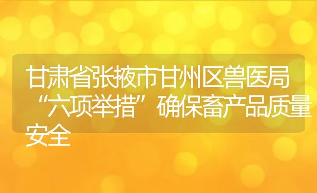 甘肃省张掖市甘州区兽医局“六项举措”确保畜产品质量安全 | 动物养殖饲料