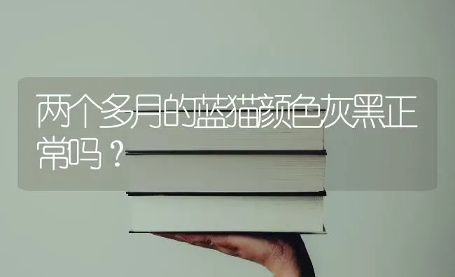 两个多月的蓝猫颜色灰黑正常吗？ | 动物养殖问答