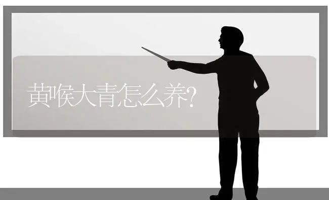 黄喉大青怎么养？ | 动物养殖问答