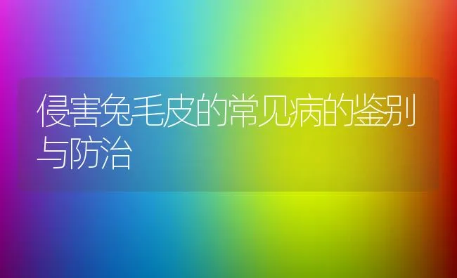 侵害兔毛皮的常见病的鉴别与防治 | 动物养殖学堂