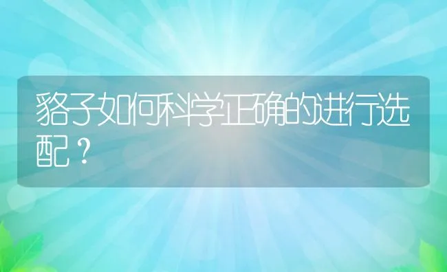 貉子如何科学正确的进行选配？ | 动物养殖学堂