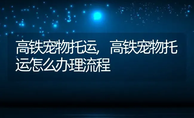 高铁宠物托运,高铁宠物托运怎么办理流程 | 宠物百科知识