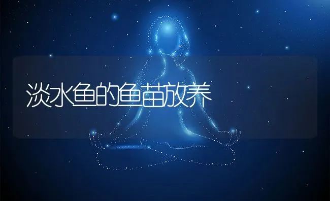 淡水鱼的鱼苗放养 | 动物养殖教程