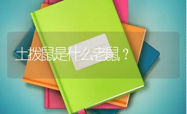 边牧打喷嚏是感冒了吗，边牧打喷嚏流鼻涕是感冒吗？ | 动物养殖问答