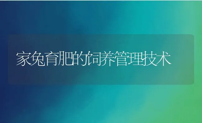 家兔育肥的饲养管理技术 | 水产养殖知识