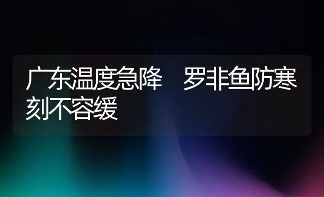 广东温度急降 罗非鱼防寒刻不容缓 | 动物养殖饲料