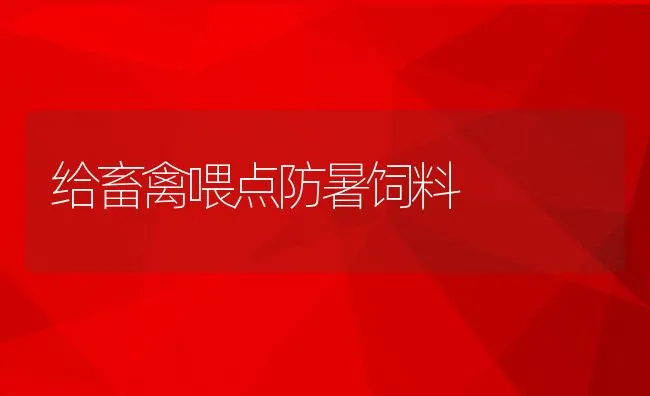 给畜禽喂点防暑饲料 | 动物养殖饲料