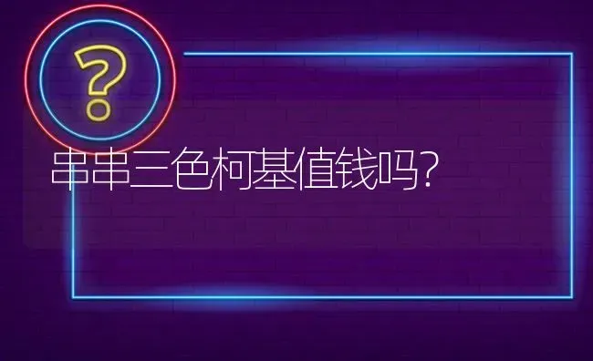 串串三色柯基值钱吗？ | 动物养殖问答