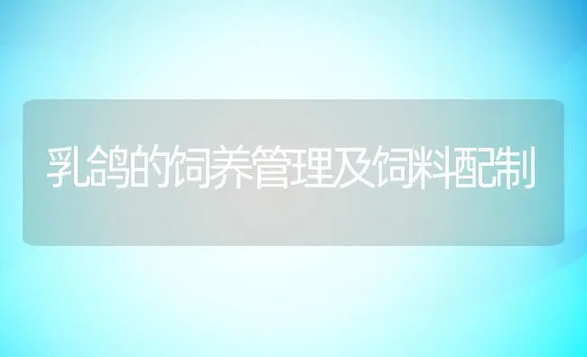 乳鸽的饲养管理及饲料配制 | 动物养殖饲料