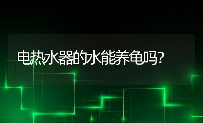 电热水器的水能养龟吗？ | 动物养殖问答