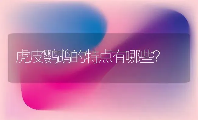 虎皮鹦鹉的特点有哪些？ | 动物养殖问答