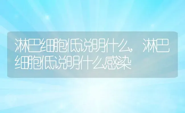 淋巴细胞低说明什么,淋巴细胞低说明什么感染 | 宠物百科知识