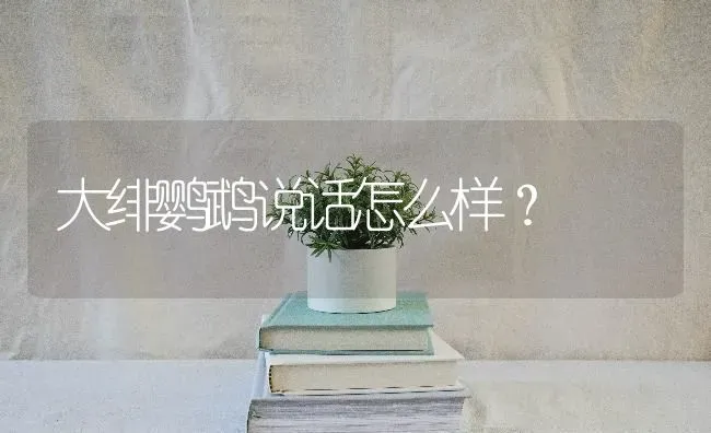 大绯鹦鹉说话怎么样？ | 动物养殖问答