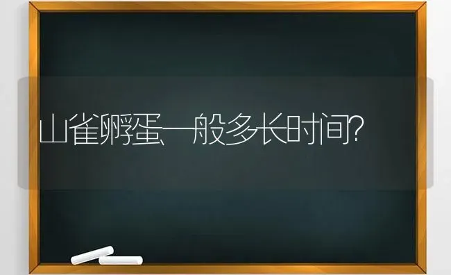 山雀孵蛋一般多长时间？ | 动物养殖问答