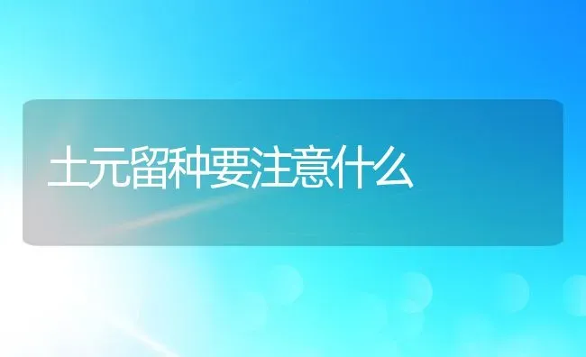 土元留种要注意什么 | 动物养殖百科