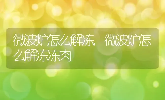 微波炉怎么解冻,微波炉怎么解冻冻肉 | 宠物百科知识