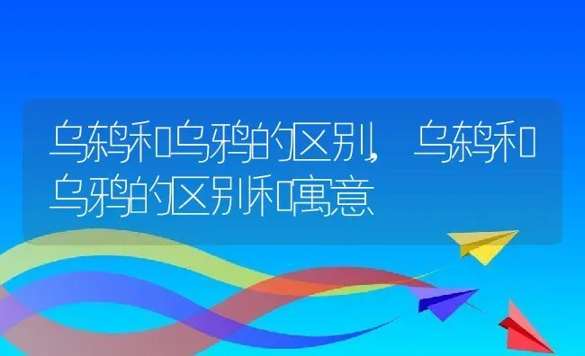 乌鸫和乌鸦的区别,乌鸫和乌鸦的区别和寓意 | 宠物百科知识