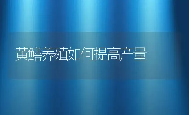 黄鳝养殖如何提高产量 | 动物养殖百科