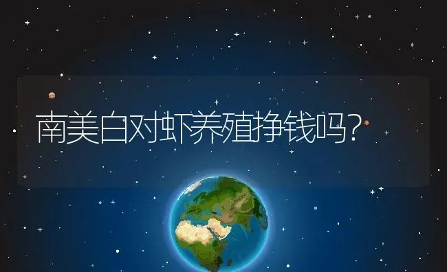 南美白对虾养殖挣钱吗？ | 动物养殖百科