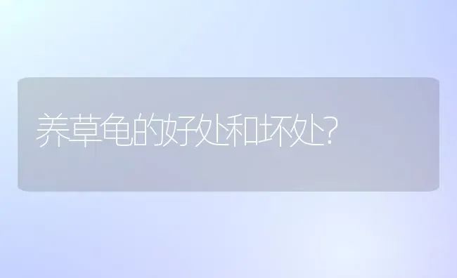 养草龟的好处和坏处？ | 动物养殖问答