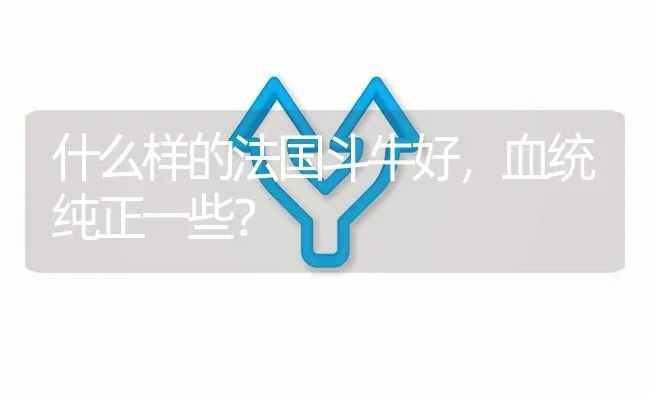 什么样的法国斗牛好，血统纯正一些？ | 动物养殖问答