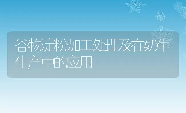 谷物淀粉加工处理及在奶牛生产中的应用 | 动物养殖饲料