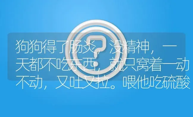 狗狗得了肠炎，没精神，一天都不吃东西，就只窝着一动不动，又吐又拉。喂他吃硫酸庆大霉素注射液可以吗？ | 动物养殖问答