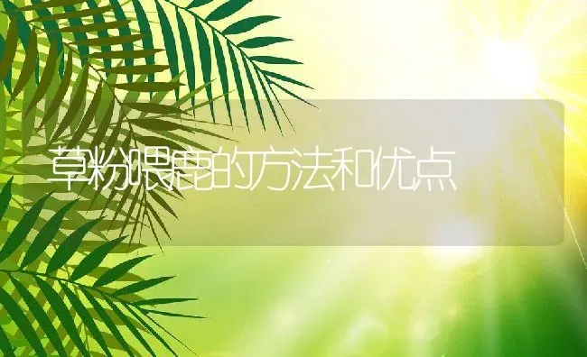 草粉喂鹿的方法和优点 | 动物养殖教程