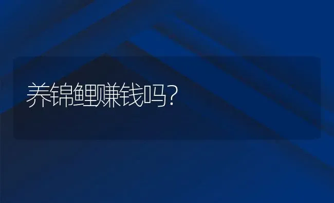 养锦鲤赚钱吗？ | 动物养殖教程