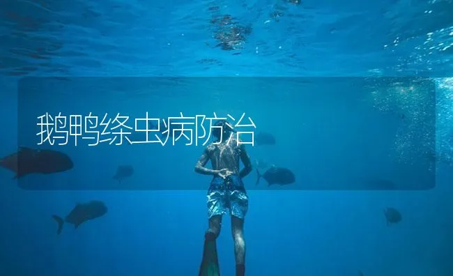 鹅鸭绦虫病防治 | 海水养殖技术