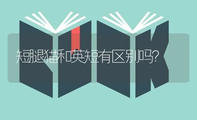 短腿猫和英短有区别吗？ | 动物养殖问答