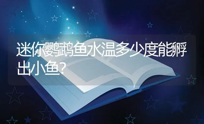 迷你鹦鹉鱼水温多少度能孵出小鱼？ | 鱼类宠物饲养