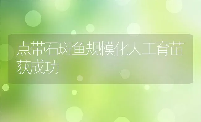 提高饲料利用率的十种方法 | 动物养殖学堂