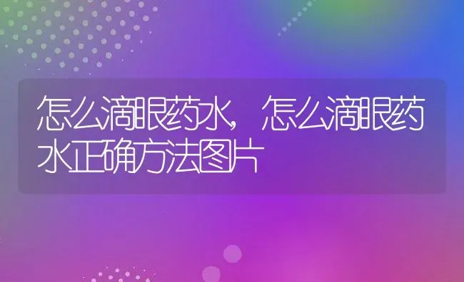 怎么滴眼药水,怎么滴眼药水正确方法图片 | 宠物百科知识