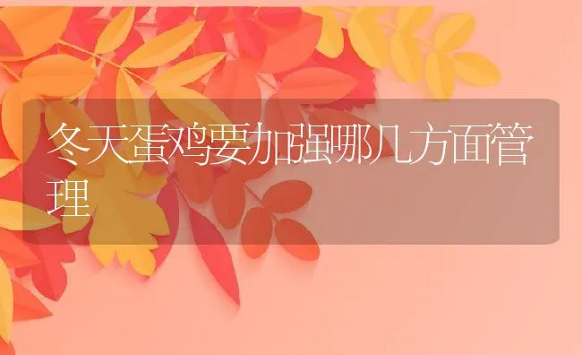 蟾蜍衣采集技术 | 动物养殖学堂