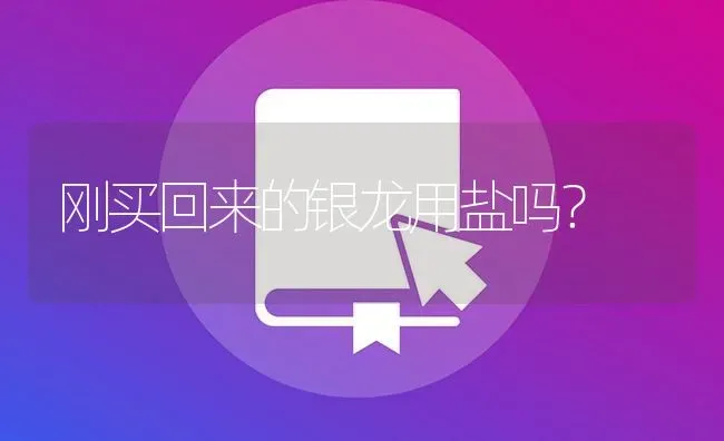 刚买回来的银龙用盐吗？ | 鱼类宠物饲养