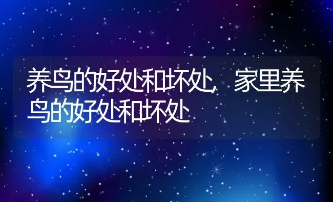 养鸟的好处和坏处,家里养鸟的好处和坏处 | 宠物百科知识