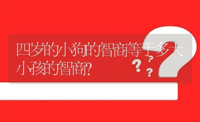 四岁的小狗的智商等于多大小孩的智商？ | 动物养殖问答