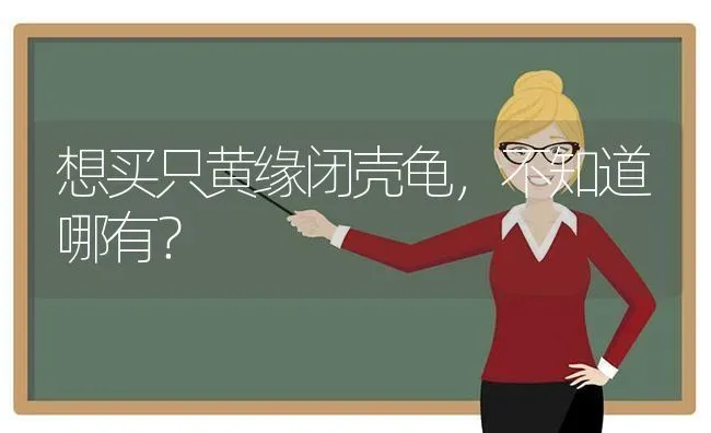 想买只黄缘闭壳龟，不知道哪有？ | 动物养殖问答