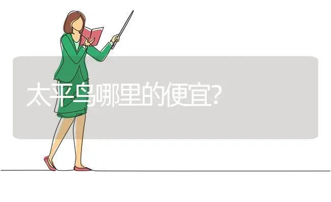 中华田园犬什么体型？ | 动物养殖问答