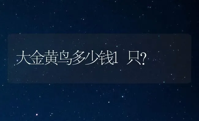 大金黄鸟多少钱1只？ | 动物养殖问答