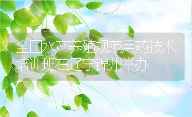 黄鳝日常管理要点 | 动物养殖学堂