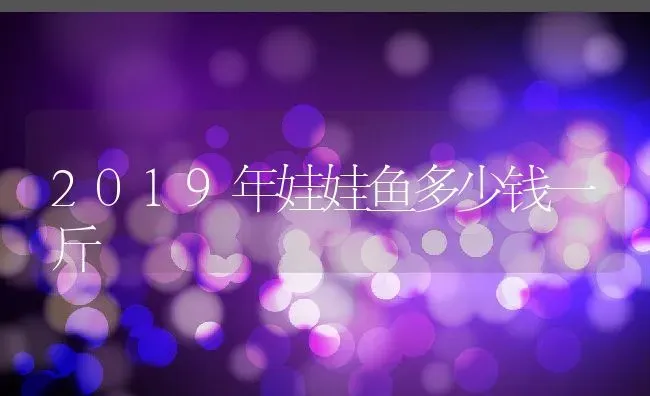 2019年娃娃鱼多少钱一斤 | 动物养殖百科