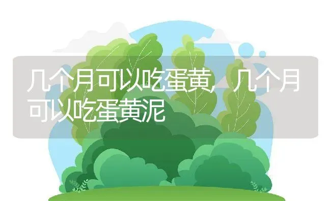 几个月可以吃蛋黄,几个月可以吃蛋黄泥 | 宠物百科知识