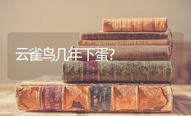 蓝猫的毛是银灰色还是蓝灰？ | 动物养殖问答