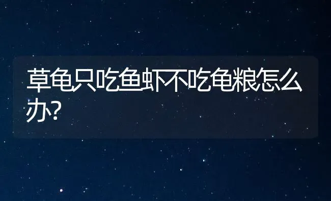 草龟只吃鱼虾不吃龟粮怎么办？ | 动物养殖问答