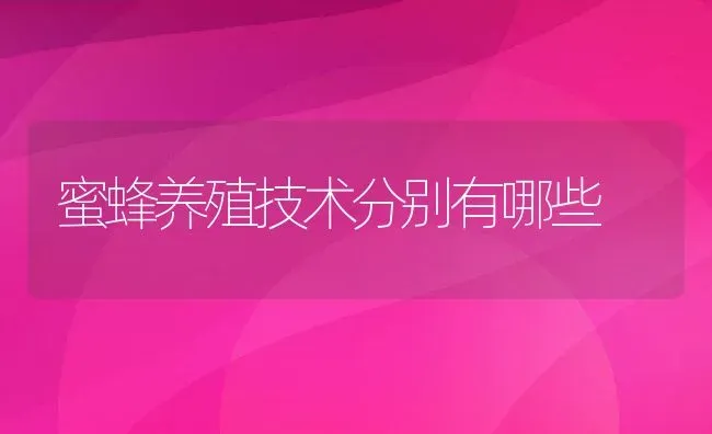 蜜蜂养殖技术分别有哪些 | 动物养殖百科