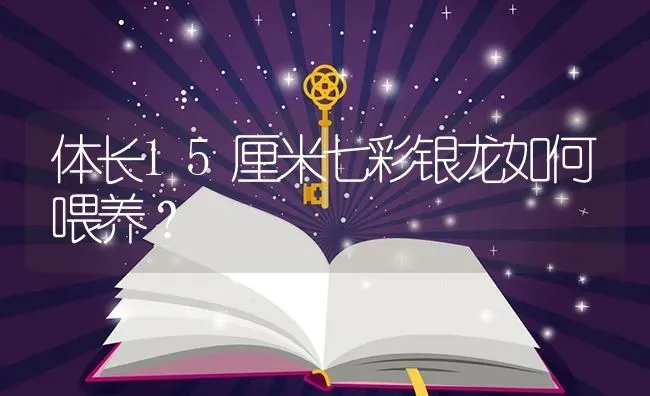 体长15厘米七彩银龙如何喂养？ | 鱼类宠物饲养