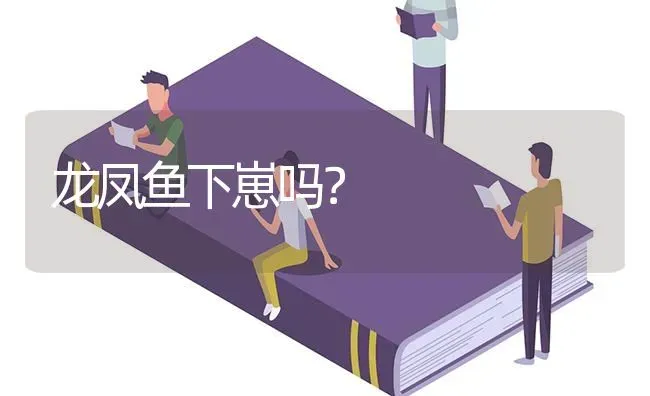 龙凤鱼下崽吗？ | 鱼类宠物饲养